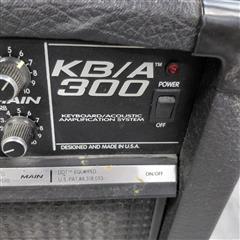 PEAVEY KB/A 300 AMP**local pickup only* (B07006723) | eBay